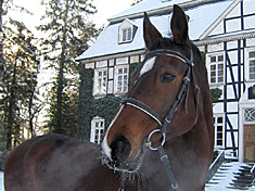 Tempra